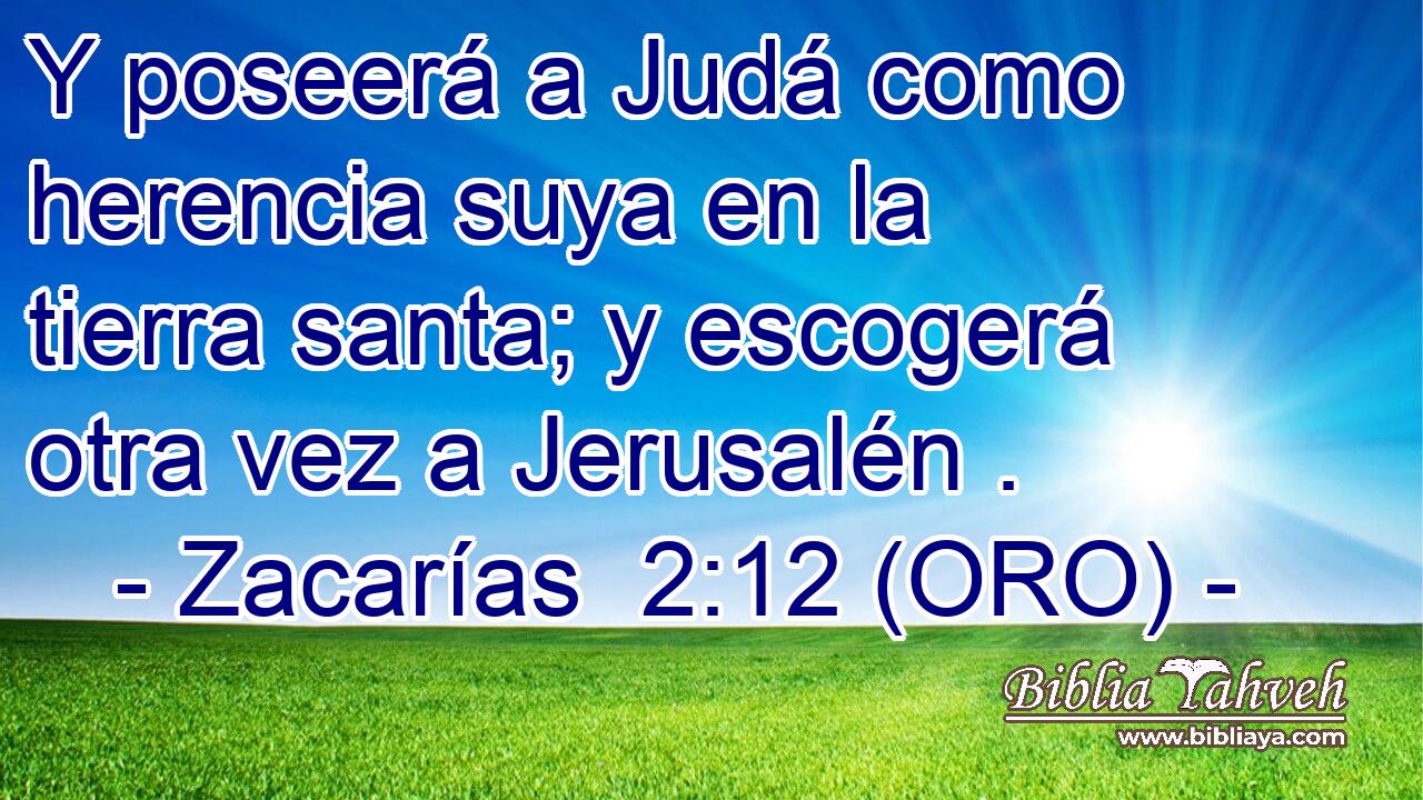  Y poseerá a Judá como herencia suya en la tierra santa; y escogerá otra vez a Jerusalén . 