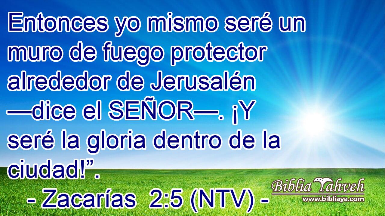 Entonces yo mismo seré un muro de fuego protector alrededor de Jerusalén —dice el SEÑOR—. ¡Y seré la gloria dentro de la ciudad!”.
