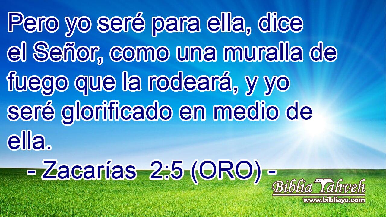  Pero yo seré para ella, dice el Señor, como una muralla de fuego que la rodeará, y yo seré glorificado en medio de ella. 
