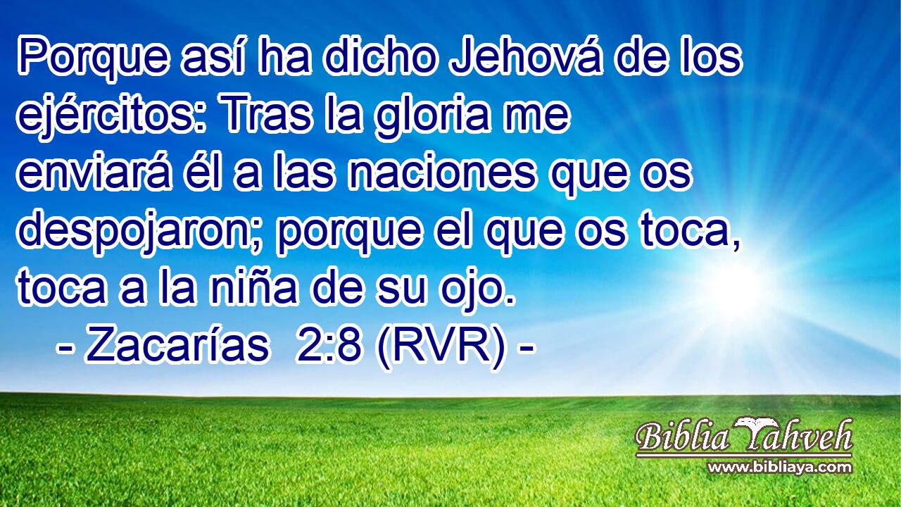 Porque así ha dicho Jehová de los ejércitos: Tras la gloria me enviará él a las naciones que os despojaron; porque el que os toca, toca a la niña de su ojo.