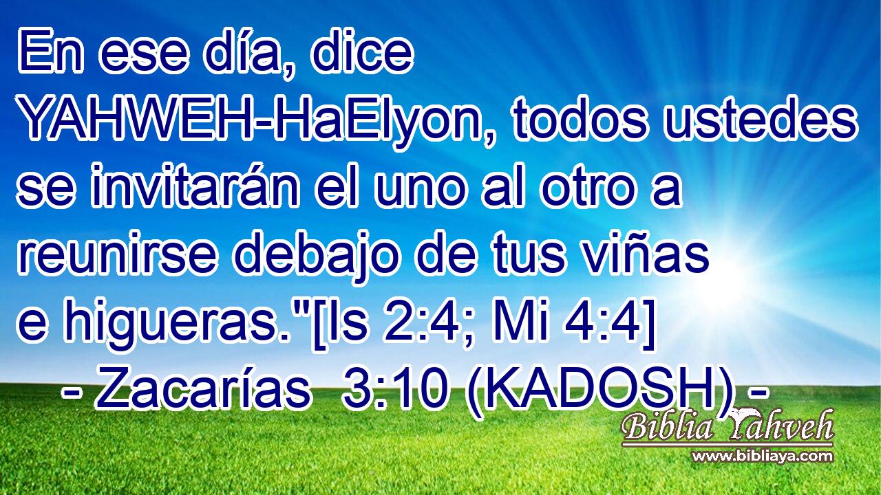  En ese día, dice YAHWEH-HaElyon, todos ustedes se invitarán el uno al otro a reunirse debajo de tus viñas e higueras.