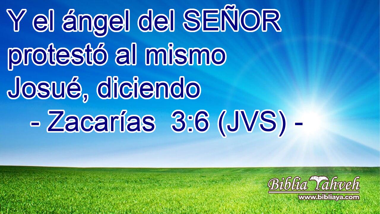 Y el ángel del SEÑOR protestó al mismo Josué, diciendo