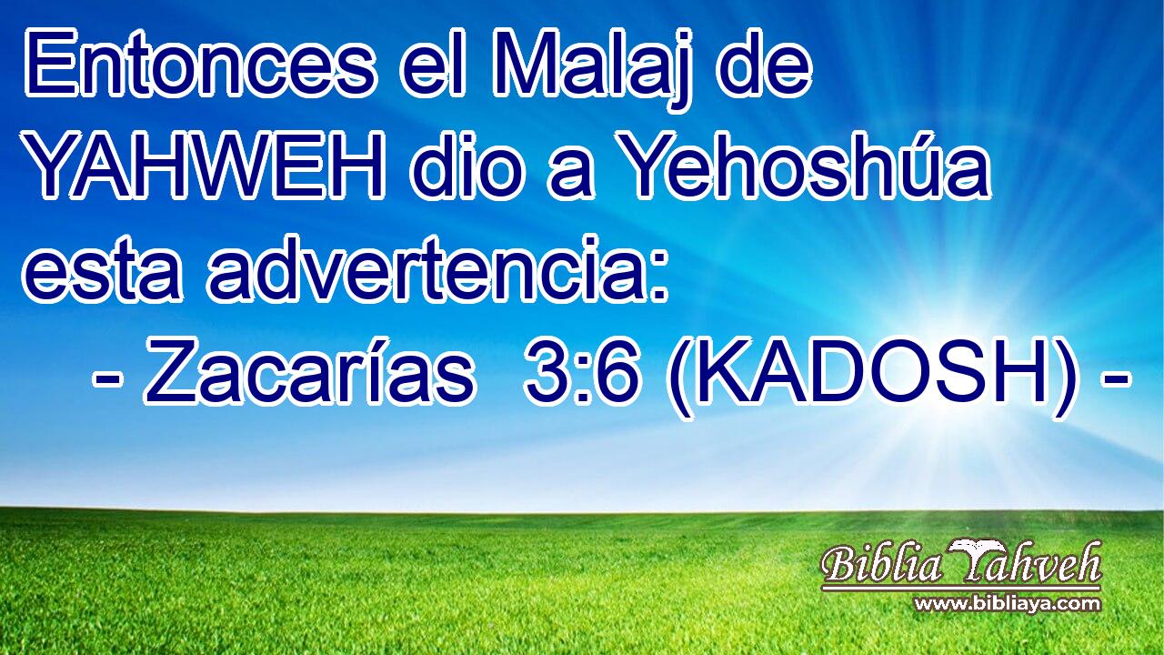  Entonces el Malaj de YAHWEH dio a Yehoshúa esta advertencia: 