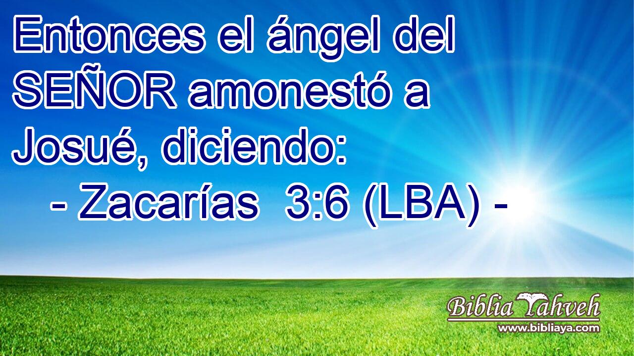 Entonces el ángel del SEÑOR amonestó a Josué, diciendo: