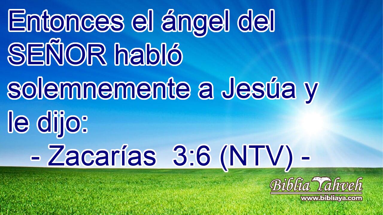 Entonces el ángel del SEÑOR habló solemnemente a Jesúa y le dijo: