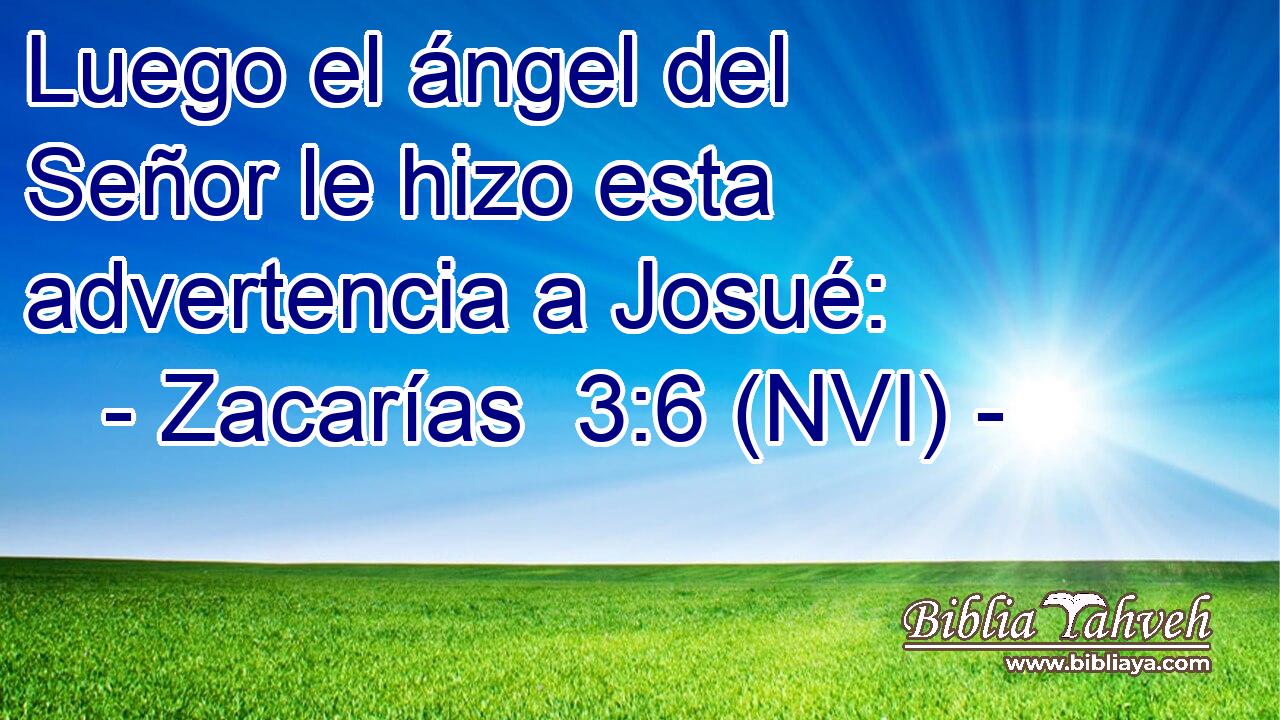  Luego el ángel del Señor le hizo esta advertencia a Josué: 
