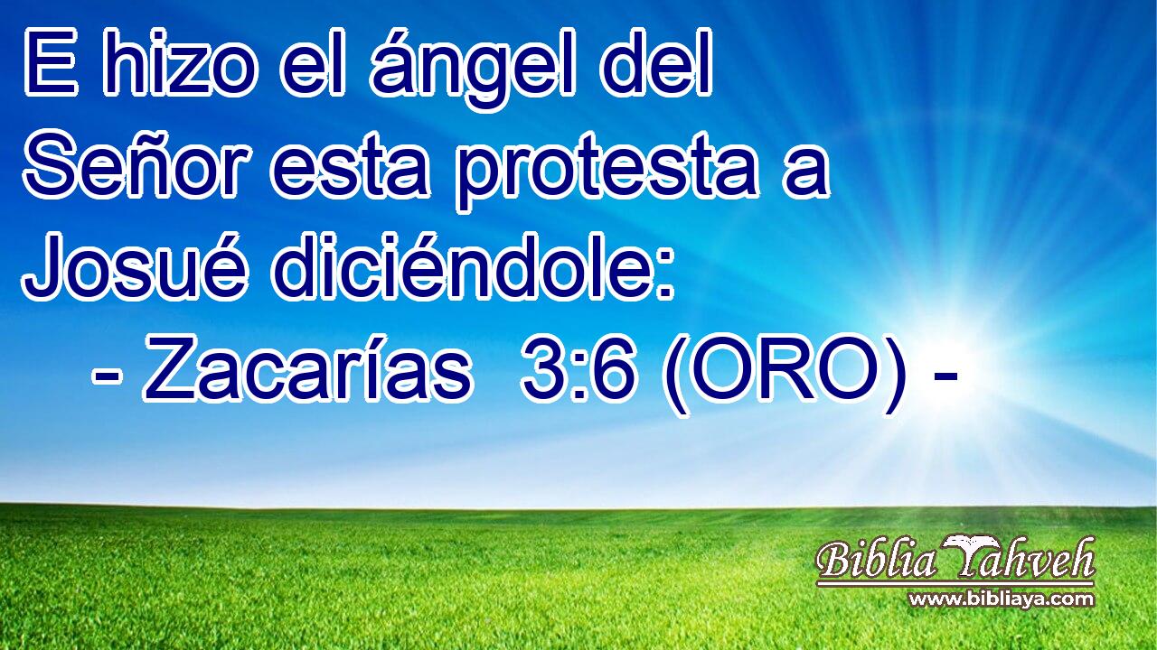  E hizo el ángel del Señor esta protesta a Josué diciéndole: 