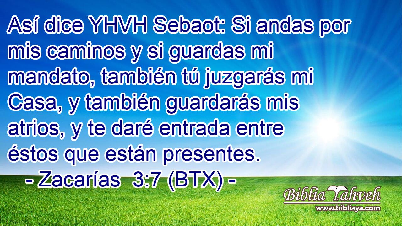 Así dice YHVH Sebaot: Si andas por mis caminos y si guardas mi mandato, también tú juzgarás mi Casa, y también guardarás mis atrios, y te daré entrada entre éstos que están presentes.