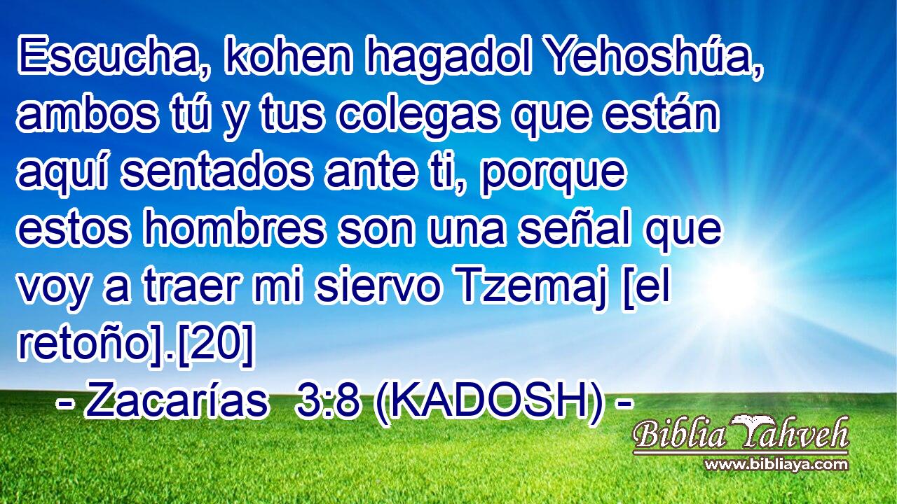  Escucha, kohen hagadol Yehoshúa, ambos tú y tus colegas que están aquí sentados ante ti, porque estos hombres son una señal que voy a traer mi siervo Tzemaj [el retoño].[20] 