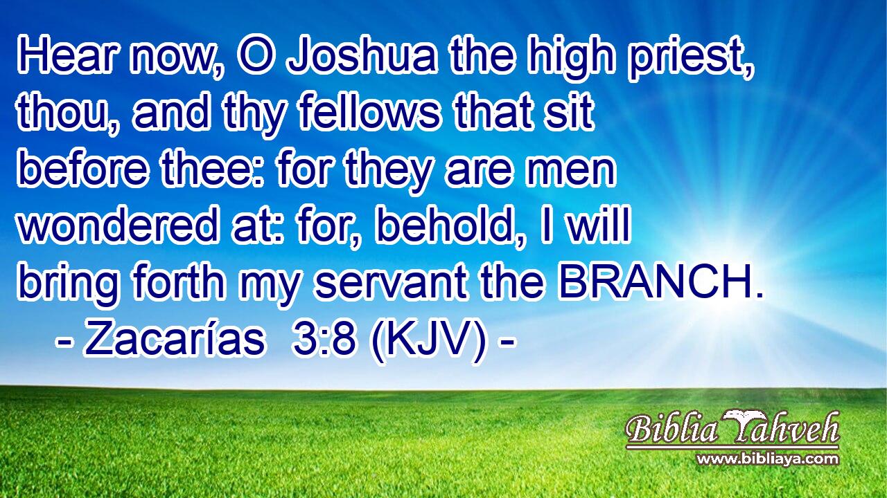 Hear now, O Joshua the high priest, thou, and thy fellows that sit before thee: for they are men wondered at: for, behold, I will bring forth my servant the BRANCH.