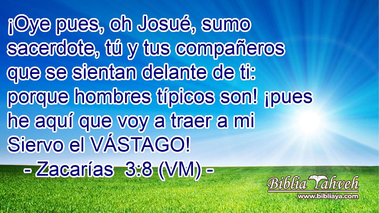  ¡Oye pues, oh Josué, sumo sacerdote, tú y tus compañeros que se sientan delante de ti: porque hombres típicos son! ¡pues he aquí que voy a traer a mi Siervo el VÁSTAGO! 