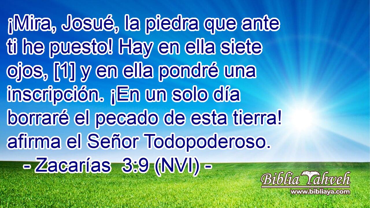  ¡Mira, Josué, la piedra que ante ti he puesto! Hay en ella siete ojos, [1] y en ella pondré una inscripción. ¡En un solo día borraré el pecado de esta tierra! afirma el Señor Todopoderoso. 