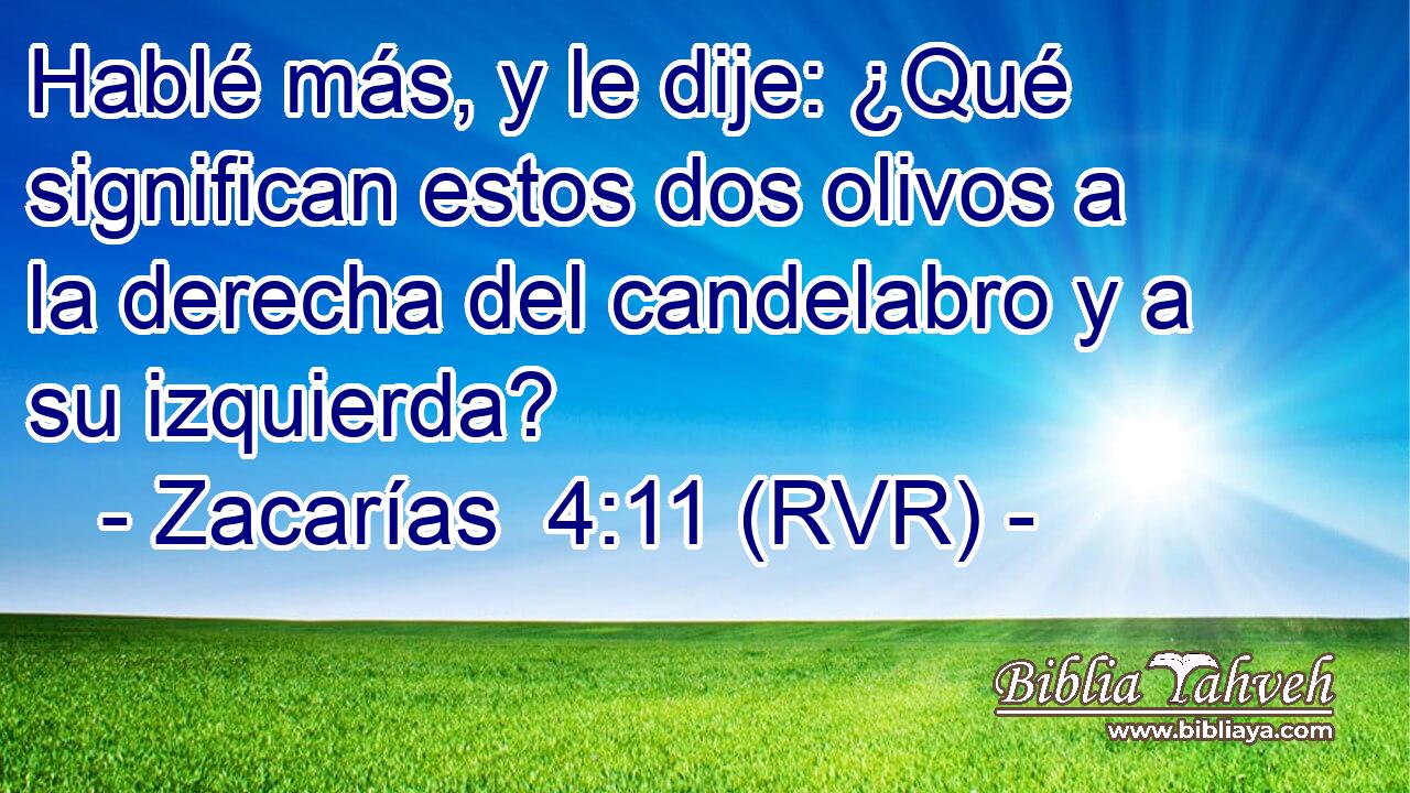 Hablé más, y le dije: ¿Qué significan estos dos olivos a la derecha del candelabro y a su izquierda?