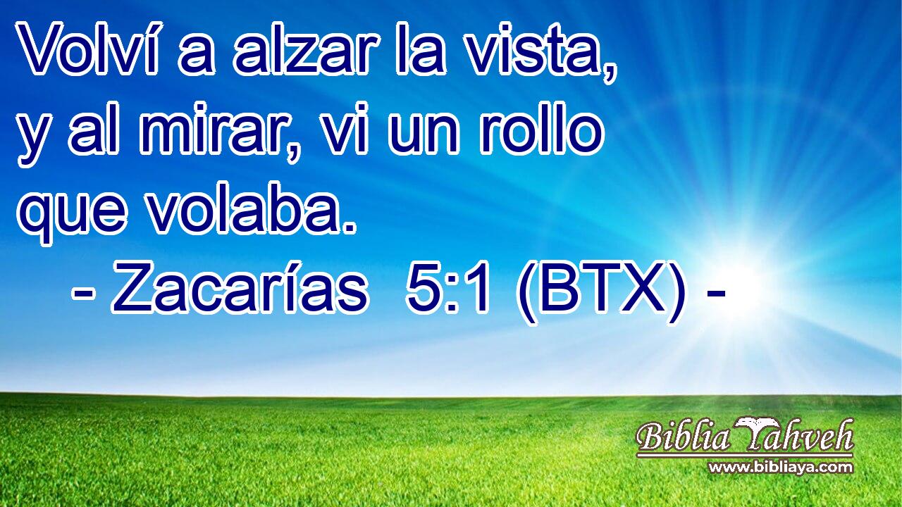 Volví a alzar la vista, y al mirar, vi un rollo que volaba.