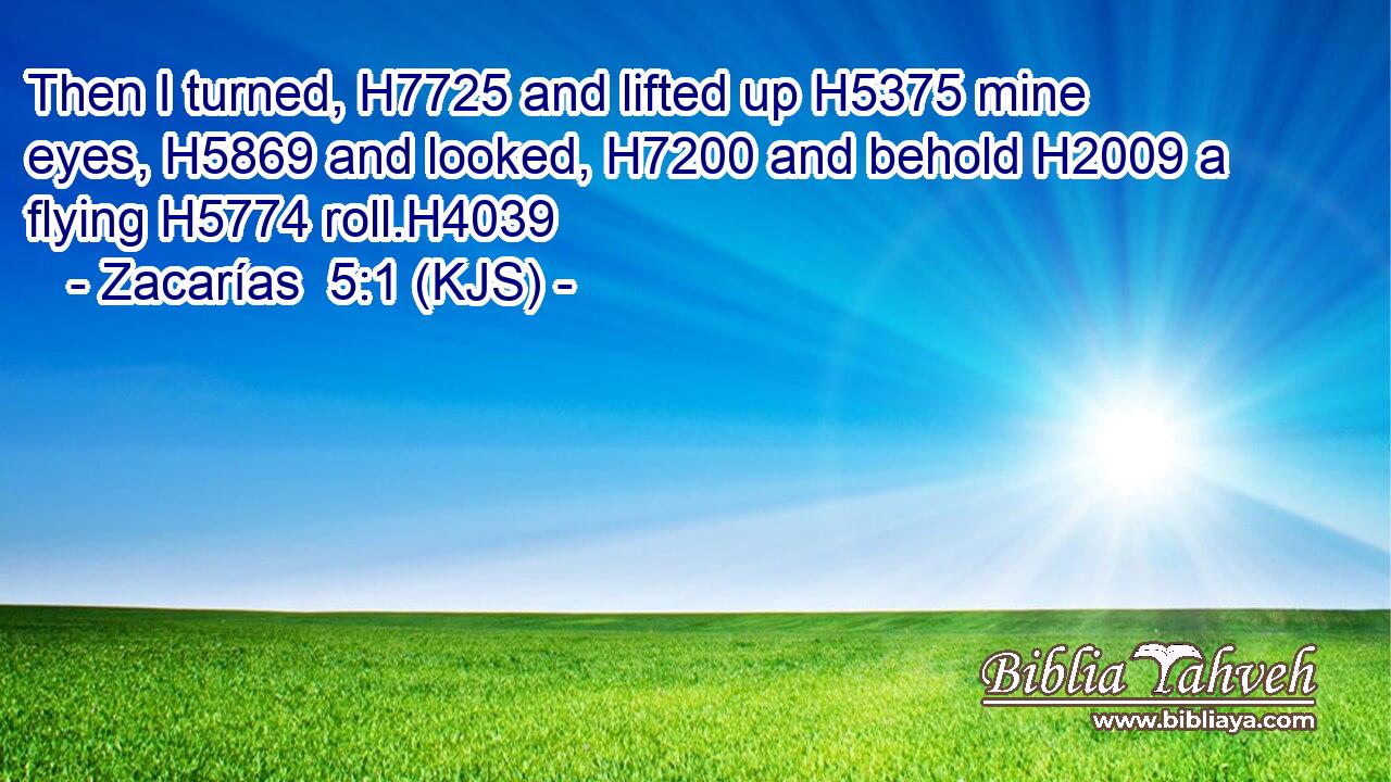 Then I turned, H7725 and lifted up H5375 mine eyes, H5869 and looked, H7200 and behold H2009 a flying H5774 roll.H4039