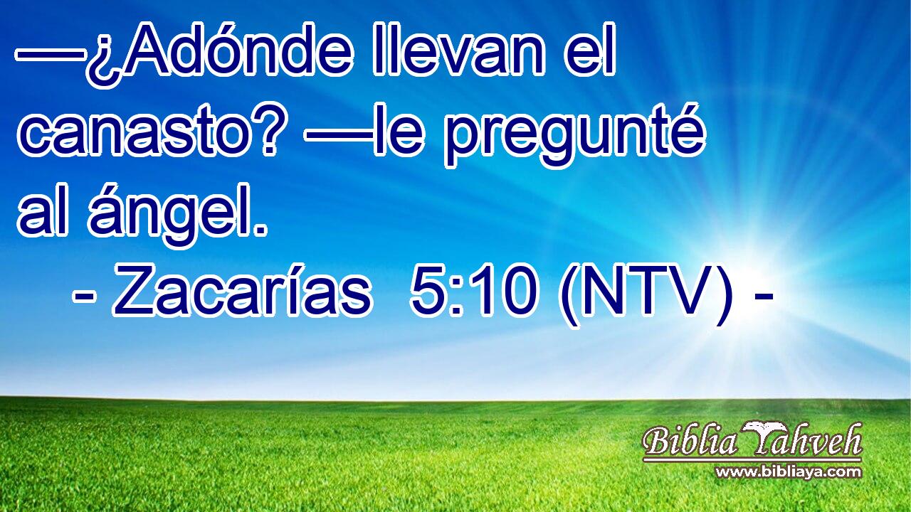 —¿Adónde llevan el canasto? —le pregunté al ángel.