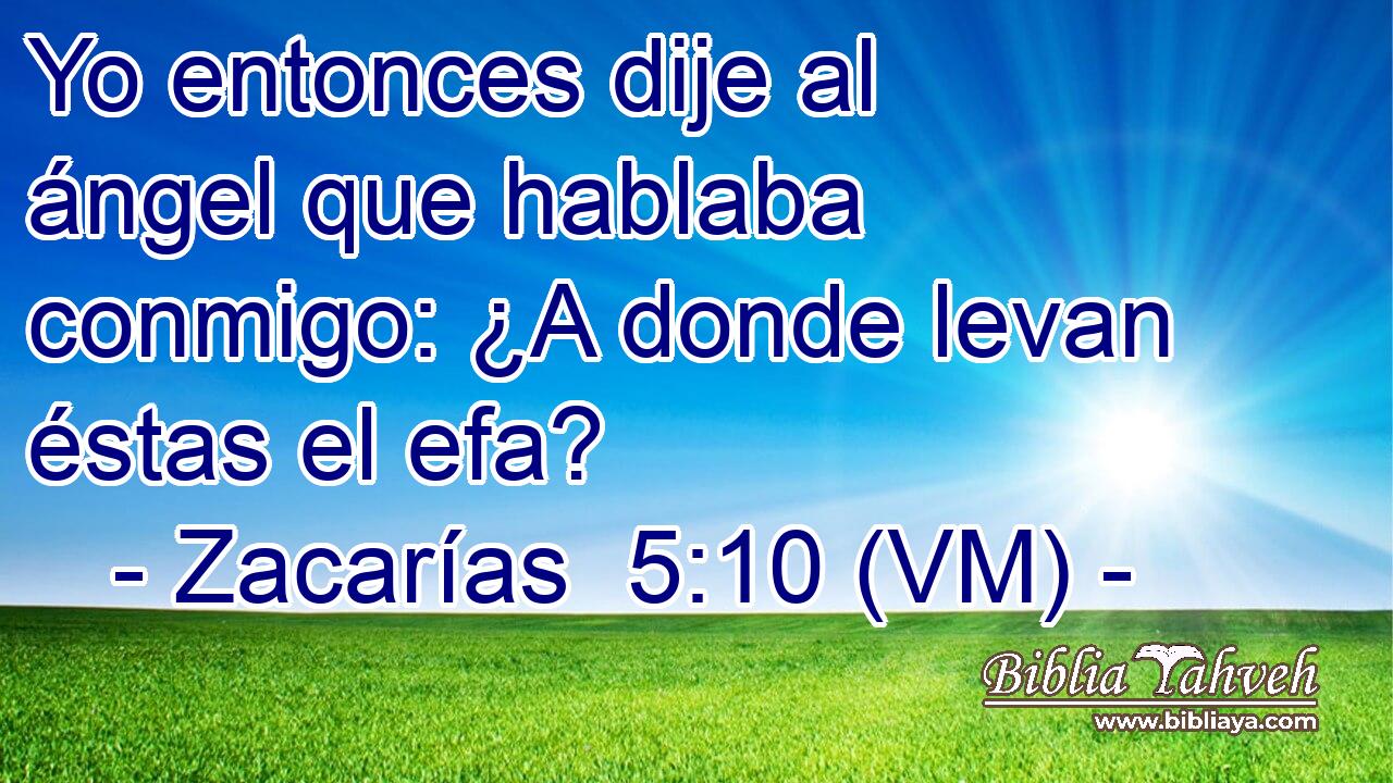  Yo entonces dije al ángel que hablaba conmigo: ¿A donde levan éstas el efa? 