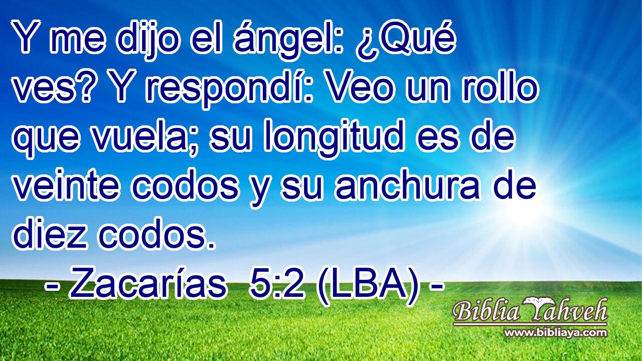 Y me dijo el ángel: ¿Qué ves? Y respondí: Veo un rollo que vuela; su longitud es de veinte codos y su anchura de diez codos.
