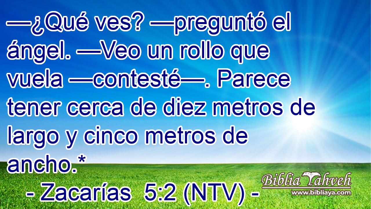 —¿Qué ves? —preguntó el ángel. —Veo un rollo que vuela —contesté—. Parece tener cerca de diez metros de largo y cinco metros de ancho.*