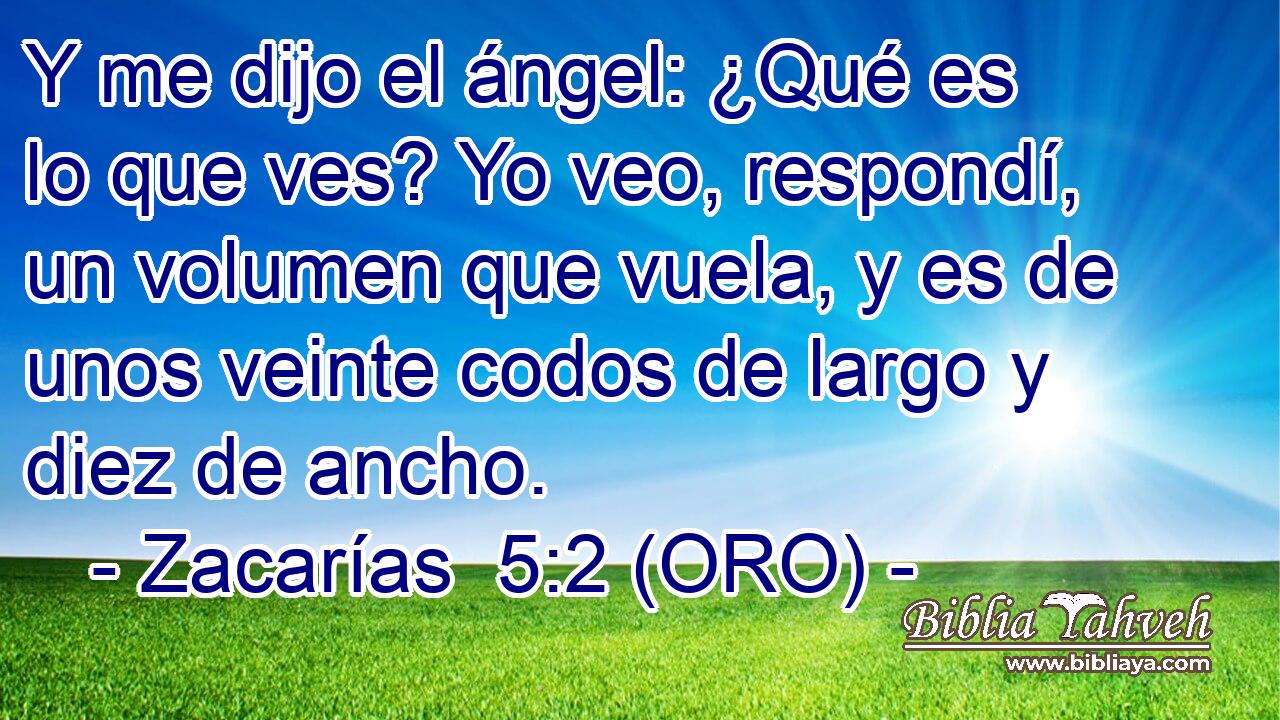  Y me dijo el ángel: ¿Qué es lo que ves? Yo veo, respondí, un volumen que vuela, y es de unos veinte codos de largo y diez de ancho. 