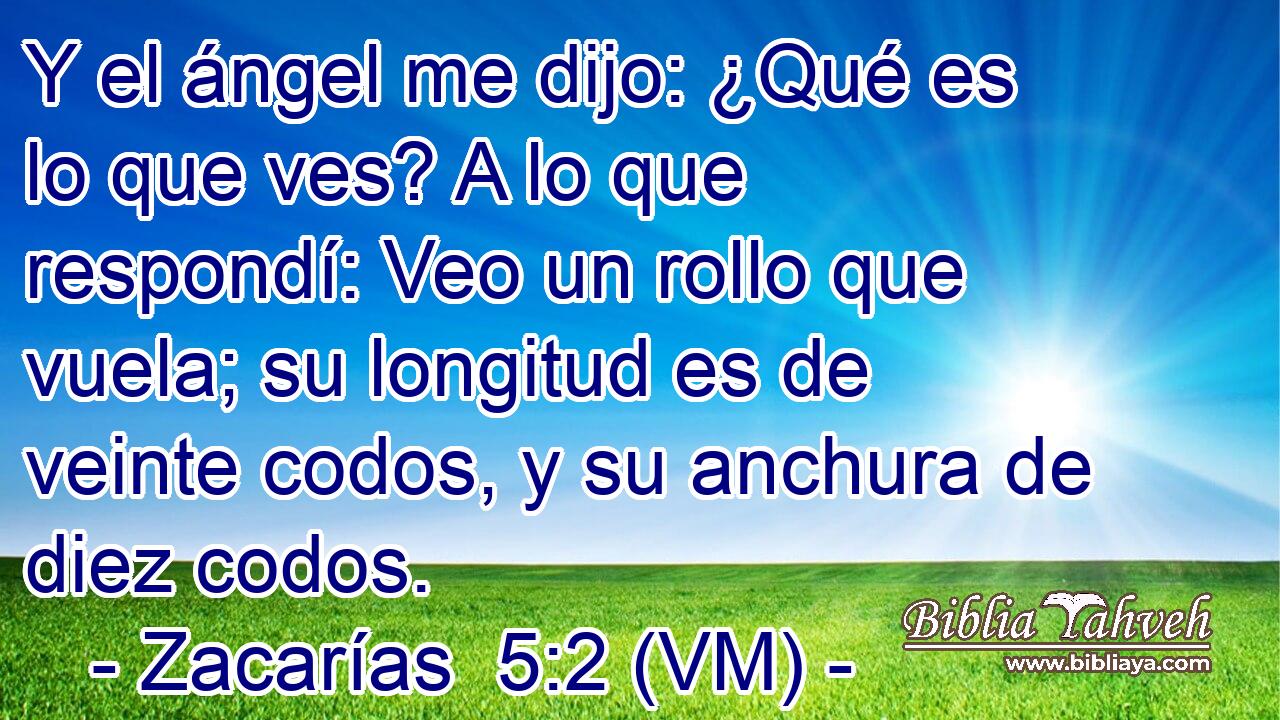  Y el ángel me dijo: ¿Qué es lo que ves? A lo que respondí: Veo un rollo que vuela; su longitud es de veinte codos, y su anchura de diez codos. 