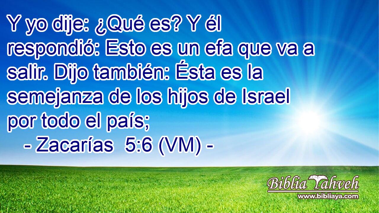  Y yo dije: ¿Qué es? Y él respondió: Esto es un efa que va a salir. Dijo también: Ésta es la semejanza de los hijos de Israel por todo el país; 