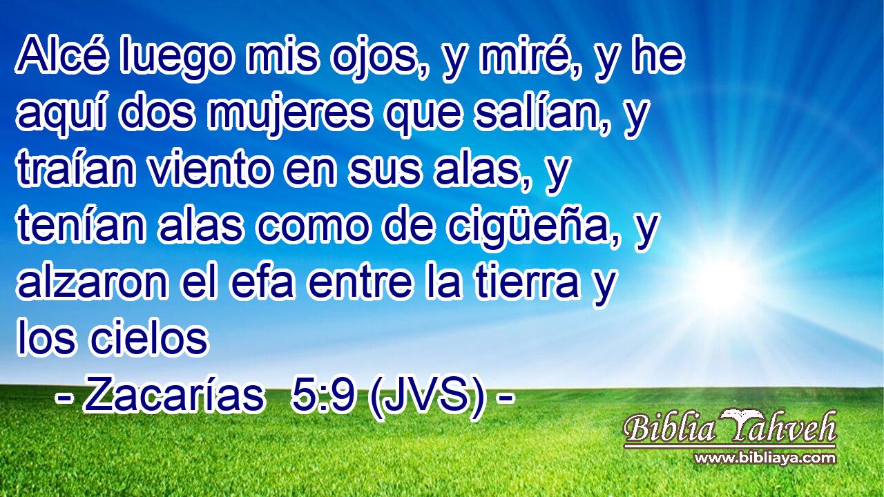 Alcé luego mis ojos, y miré, y he aquí dos mujeres que salían, y traían viento en sus alas, y tenían alas como de cigüeña, y alzaron el efa entre la tierra y los cielos