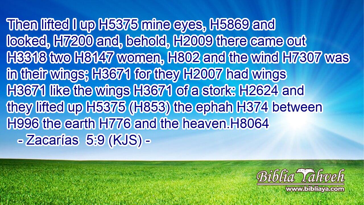 Then lifted I up H5375 mine eyes, H5869 and looked, H7200 and, behold, H2009 there came out H3318 two H8147 women, H802 and the wind H7307 was in their wings; H3671 for they H2007 had wings H3671 like the wings H3671 of a stork: H2624 and they lifted up H5375 (H853) the ephah H374 between H996 the earth H776 and the heaven.H8064