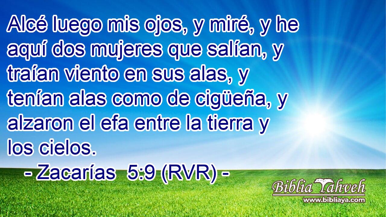 Alcé luego mis ojos, y miré, y he aquí dos mujeres que salían, y traían viento en sus alas, y tenían alas como de cigüeña, y alzaron el efa entre la tierra y los cielos.