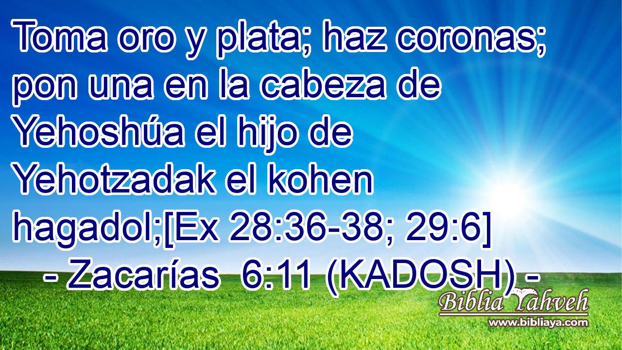  Toma oro y plata; haz coronas; pon una en la cabeza de Yehoshúa el hijo de Yehotzadak el kohen hagadol;[Ex 28:36-38; 29:6] 