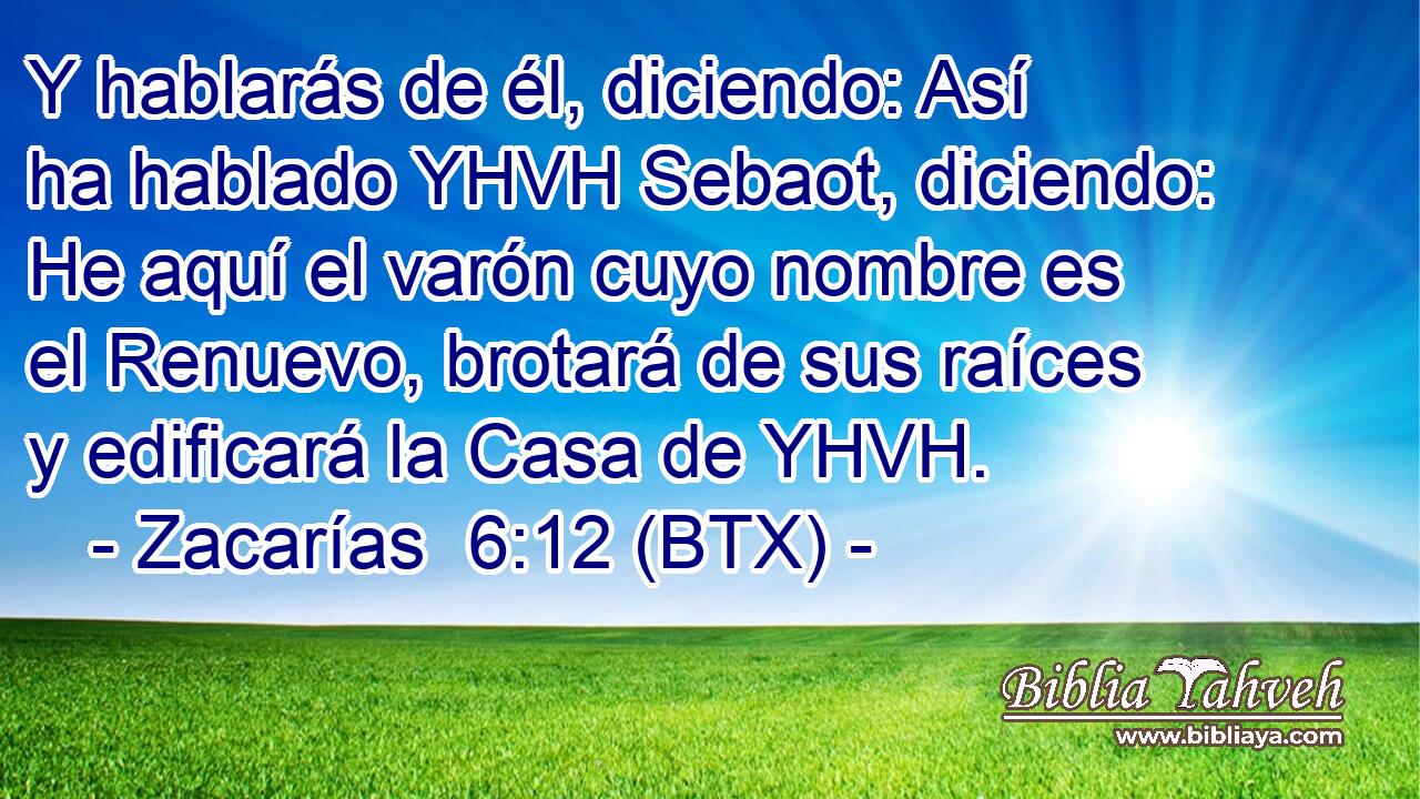 Y hablarás de él, diciendo: Así ha hablado YHVH Sebaot, diciendo: He aquí el varón cuyo nombre es el Renuevo, brotará de sus raíces y edificará la Casa de YHVH.
