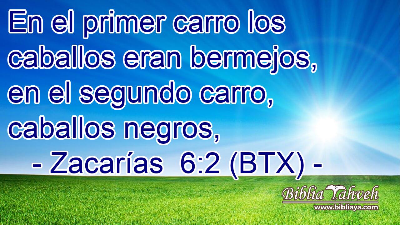 En el primer carro los caballos eran bermejos, en el segundo carro, caballos negros,