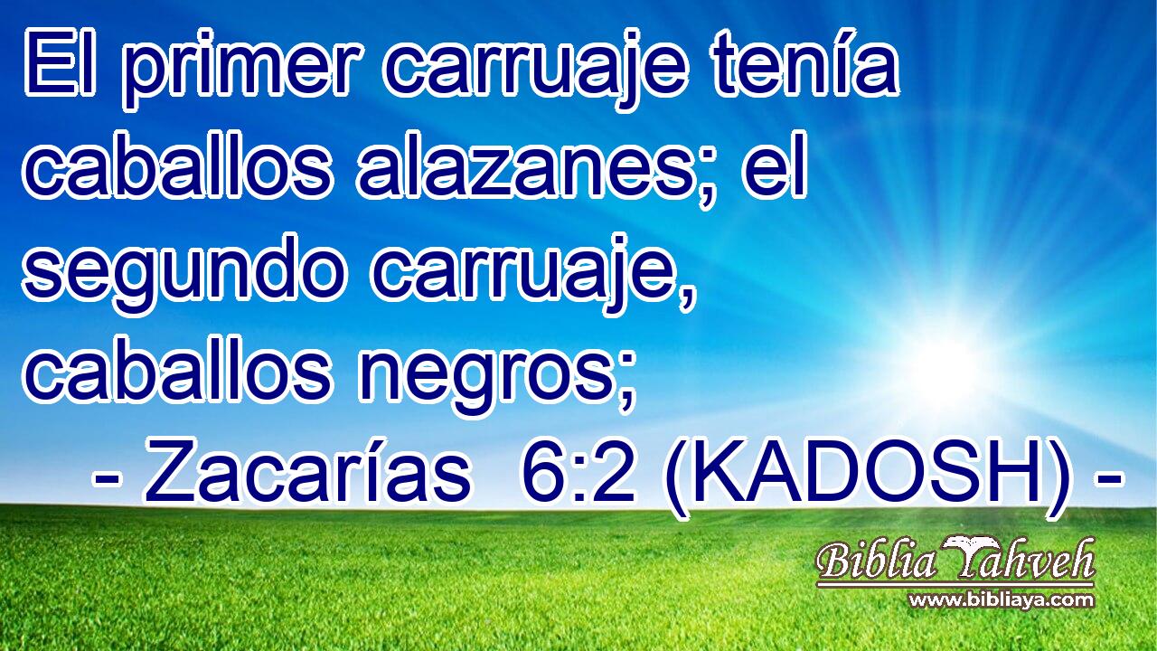  El primer carruaje tenía caballos alazanes; el segundo carruaje, caballos negros; 