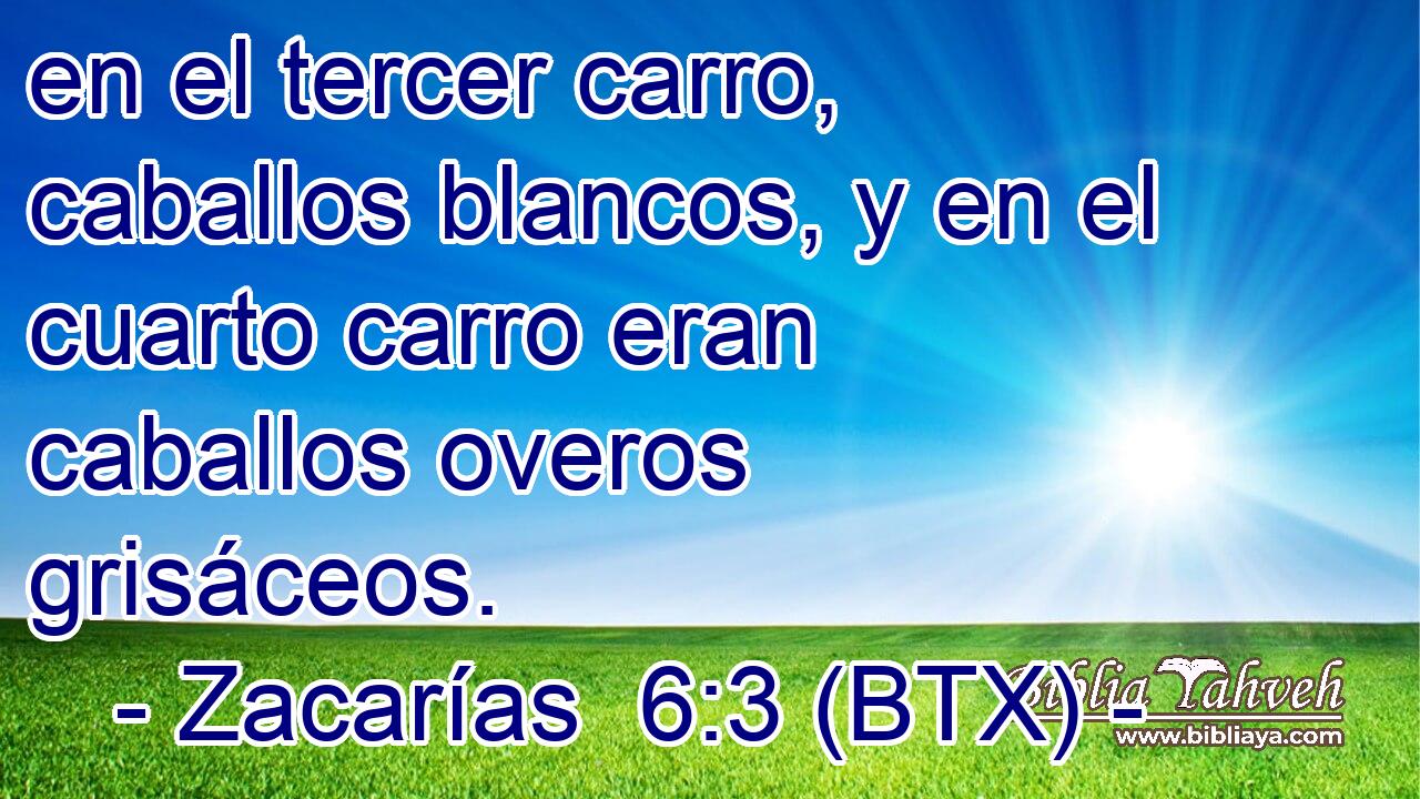 en el tercer carro, caballos blancos, y en el cuarto carro eran caballos overos grisáceos.