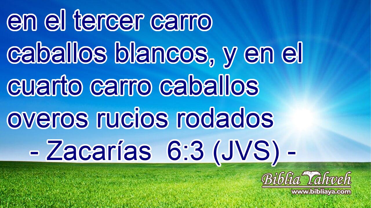 en el tercer carro caballos blancos, y en el cuarto carro caballos overos rucios rodados