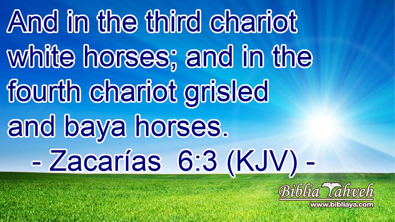 And in the third chariot white horses; and in the fourth chariot grisled and baya horses.