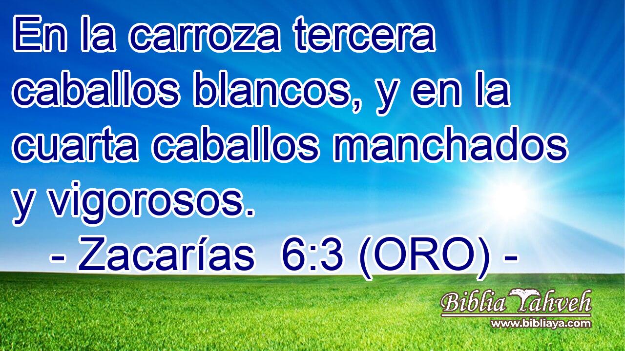  En la carroza tercera caballos blancos, y en la cuarta caballos manchados y vigorosos. 
