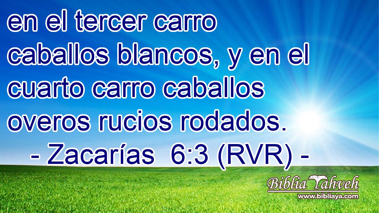 en el tercer carro caballos blancos, y en el cuarto carro caballos overos rucios rodados.