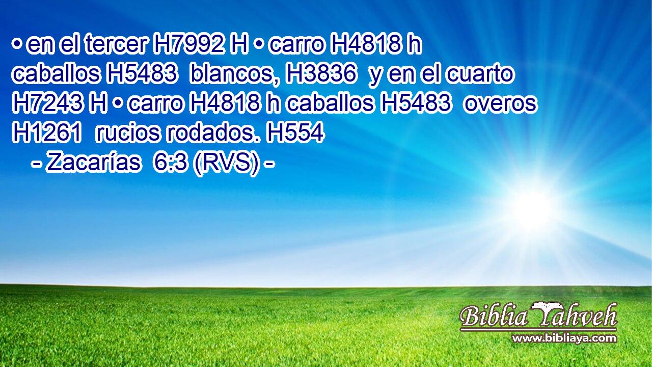 • en el tercer H7992 H • carro H4818 h caballos H5483  blancos, H3836  y en el cuarto H7243 H • carro H4818 h caballos H5483  overos H1261  rucios rodados. H554  