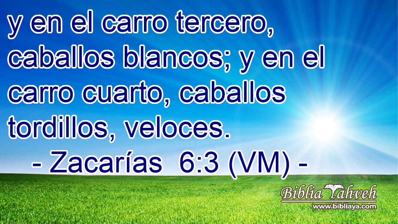  y en el carro tercero, caballos blancos; y en el carro cuarto, caballos tordillos, veloces. 