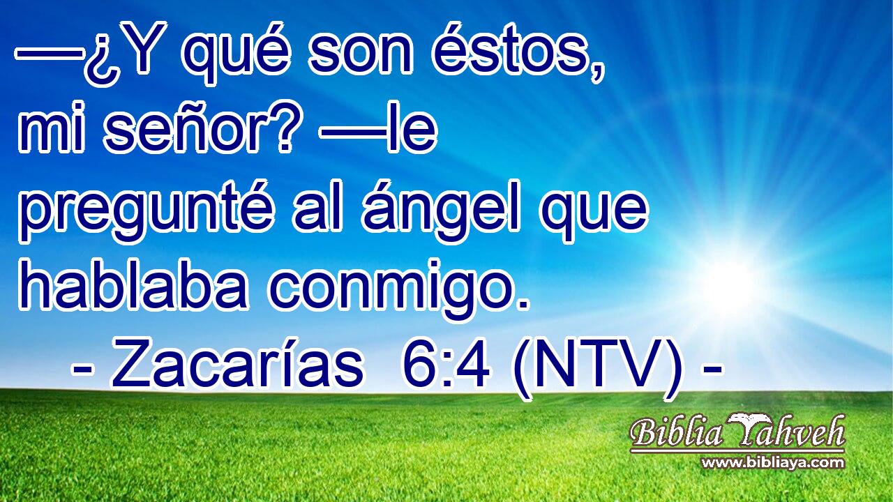 —¿Y qué son éstos, mi señor? —le pregunté al ángel que hablaba conmigo.