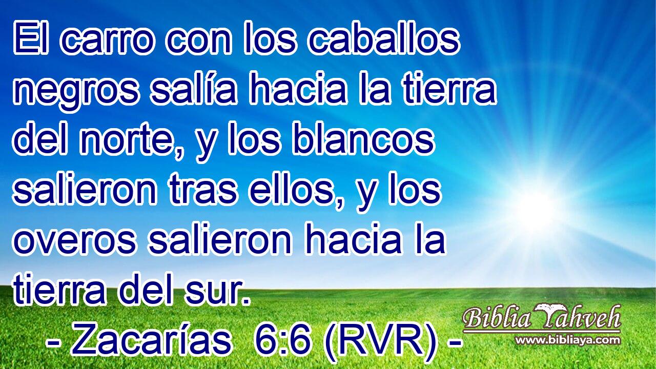 El carro con los caballos negros salía hacia la tierra del norte, y los blancos salieron tras ellos, y los overos salieron hacia la tierra del sur.