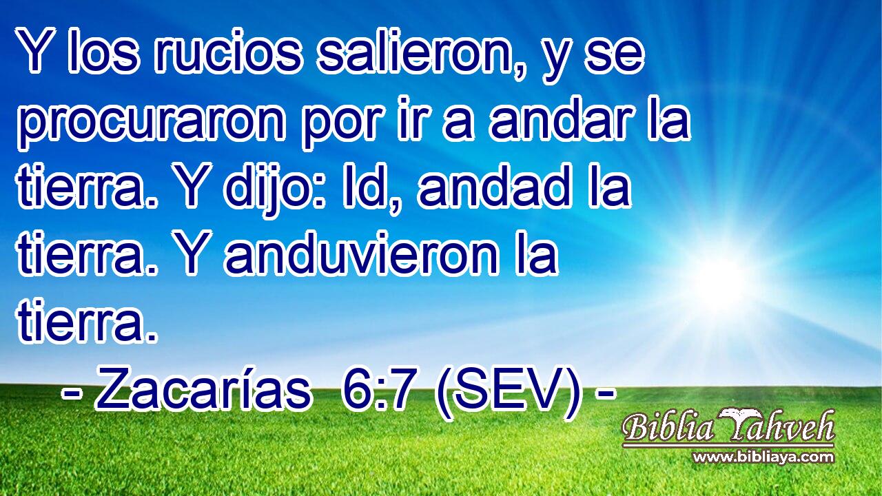 Y los rucios salieron, y se procuraron por ir a andar la tierra. Y dijo: Id, andad la tierra. Y anduvieron la tierra.
