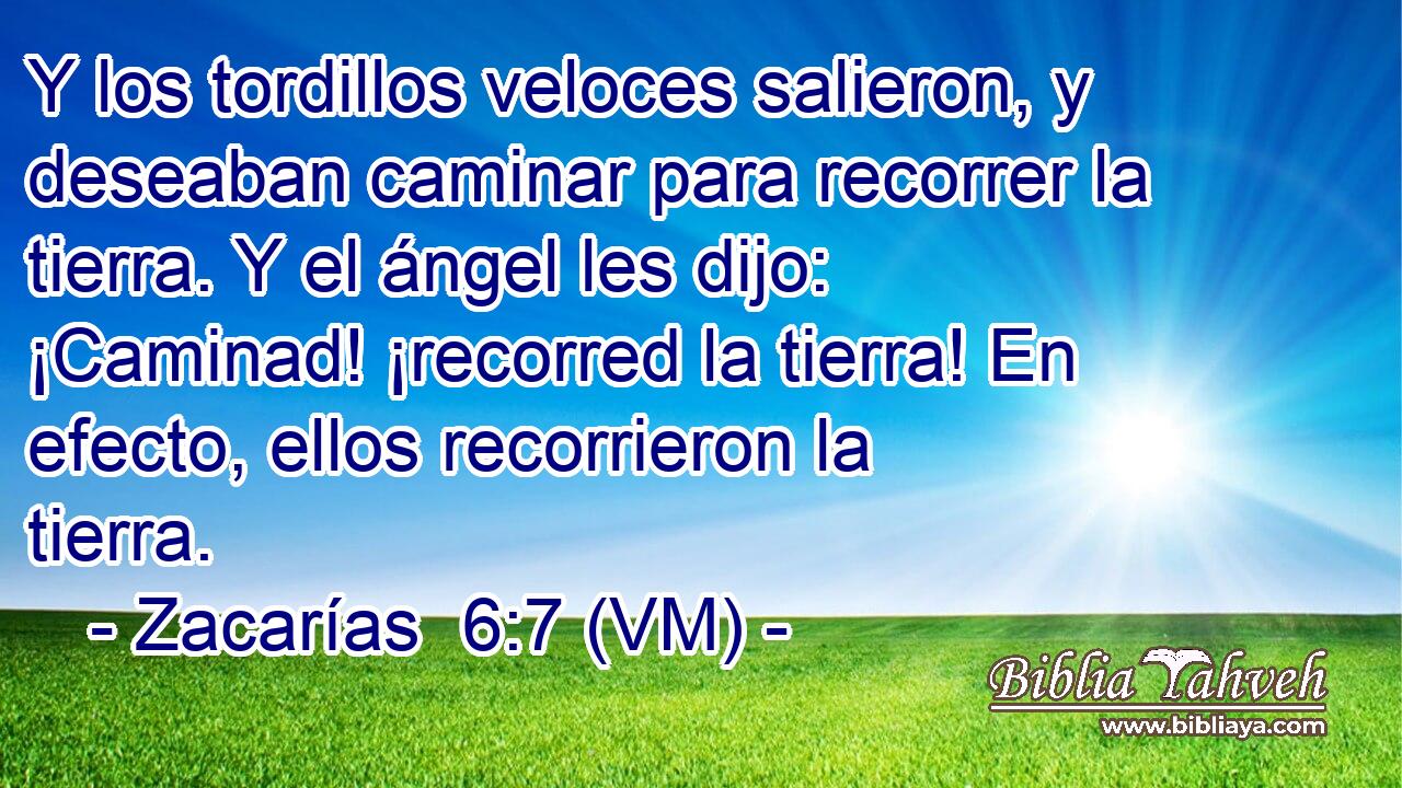  Y los tordillos veloces salieron, y deseaban caminar para recorrer la tierra. Y el ángel les dijo: ¡Caminad! ¡recorred la tierra! En efecto, ellos recorrieron la tierra. 
