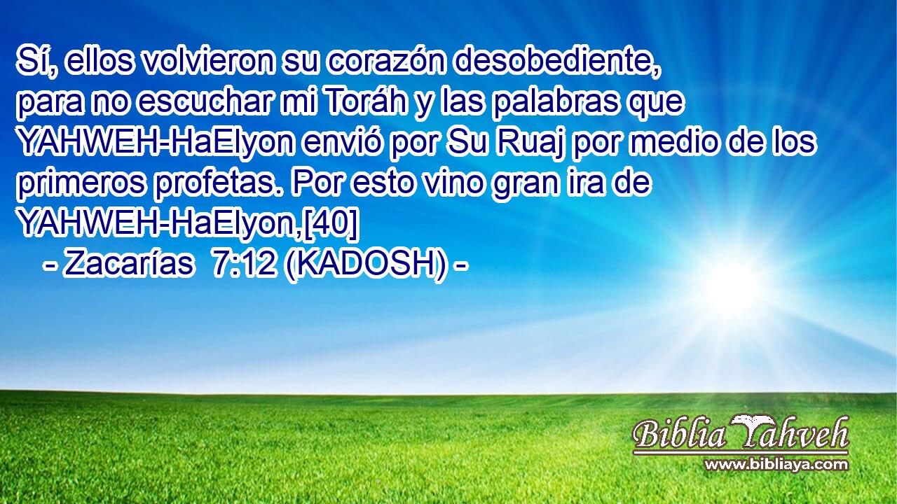  Sí, ellos volvieron su corazón desobediente, para no escuchar mi Toráh y las palabras que YAHWEH-HaElyon envió por Su Ruaj por medio de los primeros profetas. Por esto vino gran ira de YAHWEH-HaElyon,[40] 
