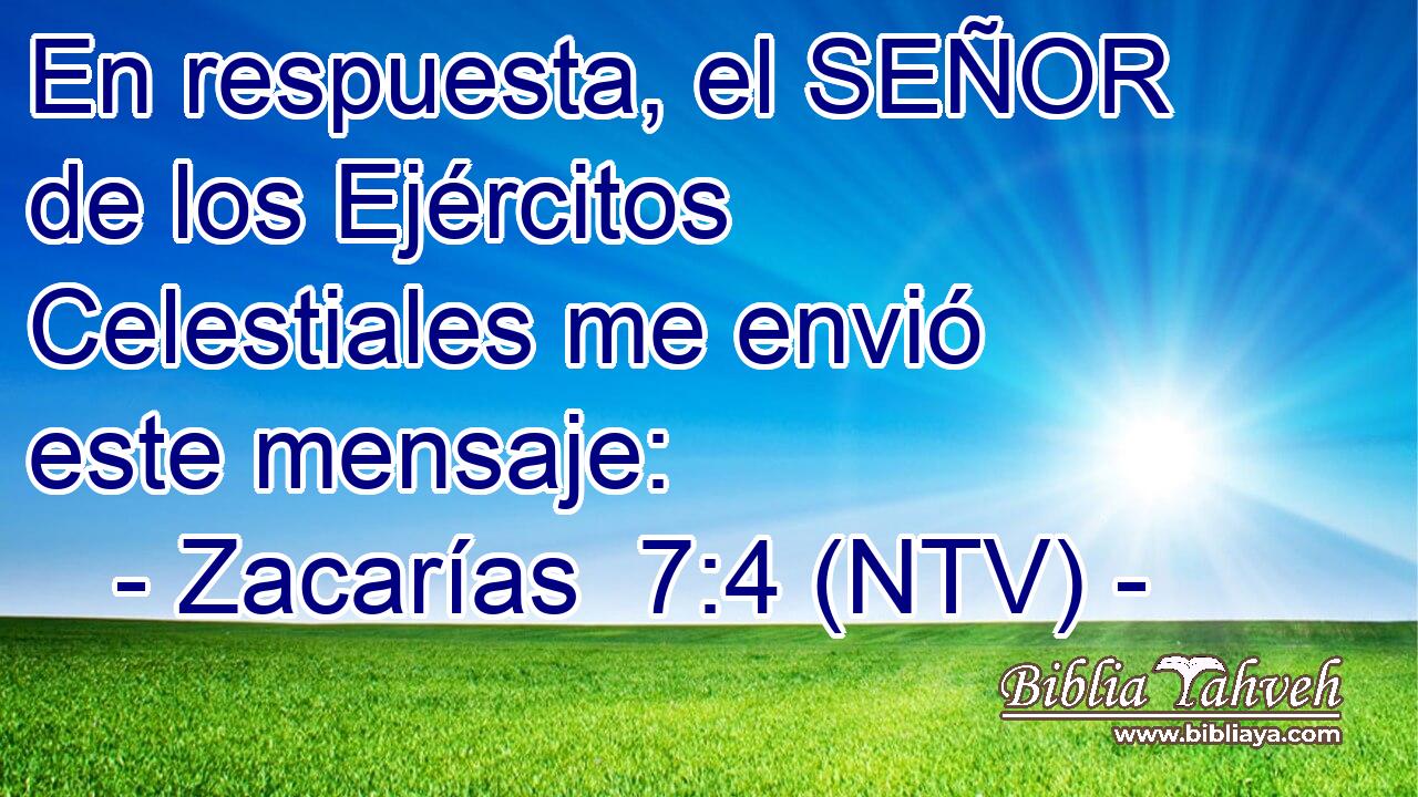 En respuesta, el SEÑOR de los Ejércitos Celestiales me envió este mensaje: