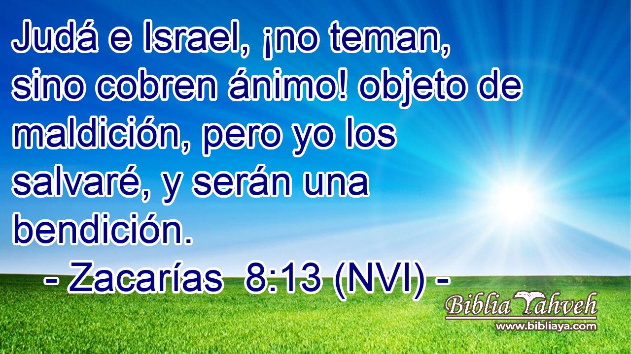  Judá e Israel, ¡no teman, sino cobren ánimo! objeto de maldición, pero yo los salvaré, y serán una bendición. 