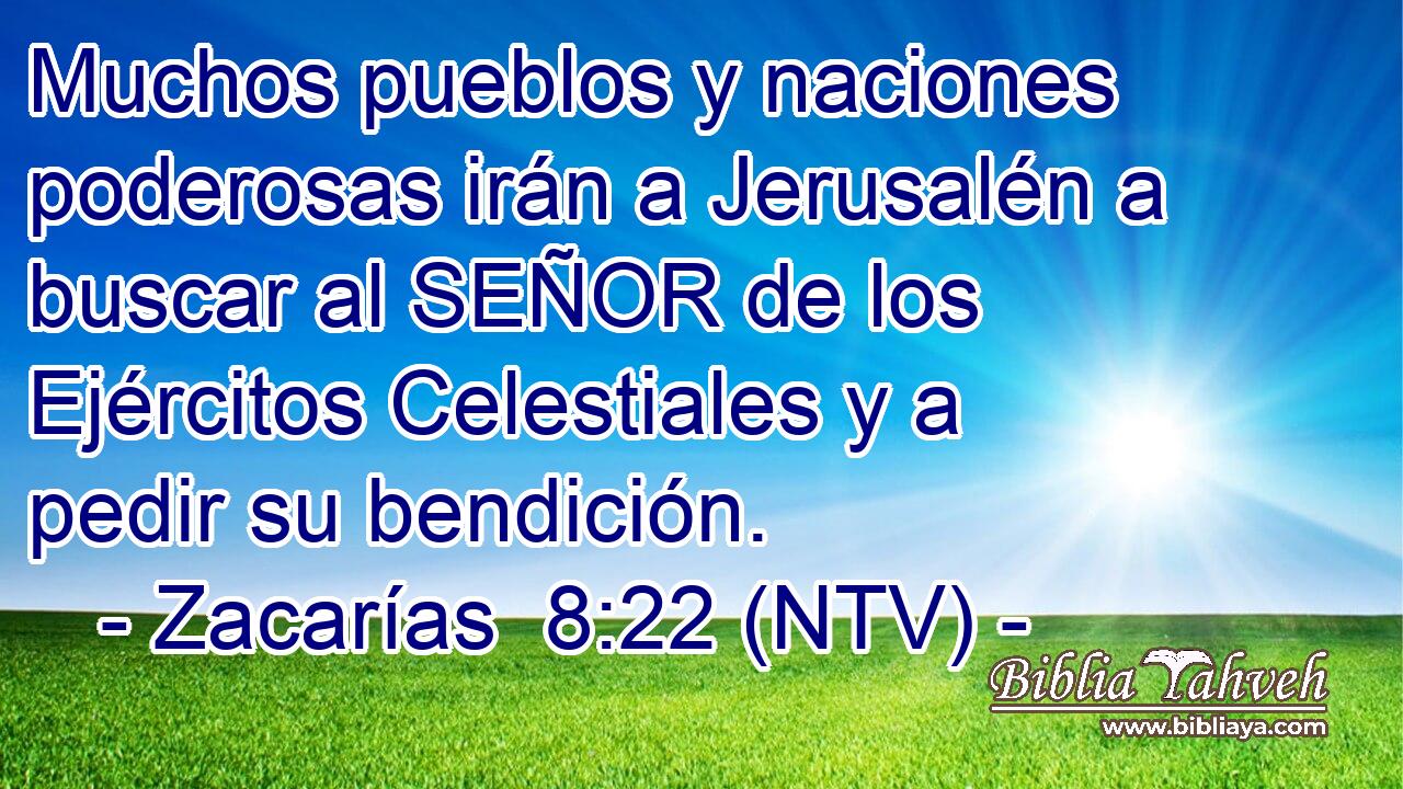 Muchos pueblos y naciones poderosas irán a Jerusalén a buscar al SEÑOR de los Ejércitos Celestiales y a pedir su bendición.