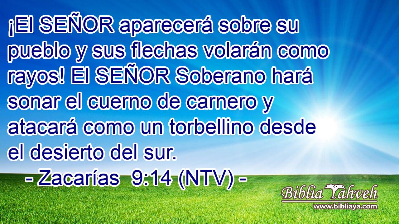 ¡El SEÑOR aparecerá sobre su pueblo y sus flechas volarán como rayos! El SEÑOR Soberano hará sonar el cuerno de carnero y atacará como un torbellino desde el desierto del sur.