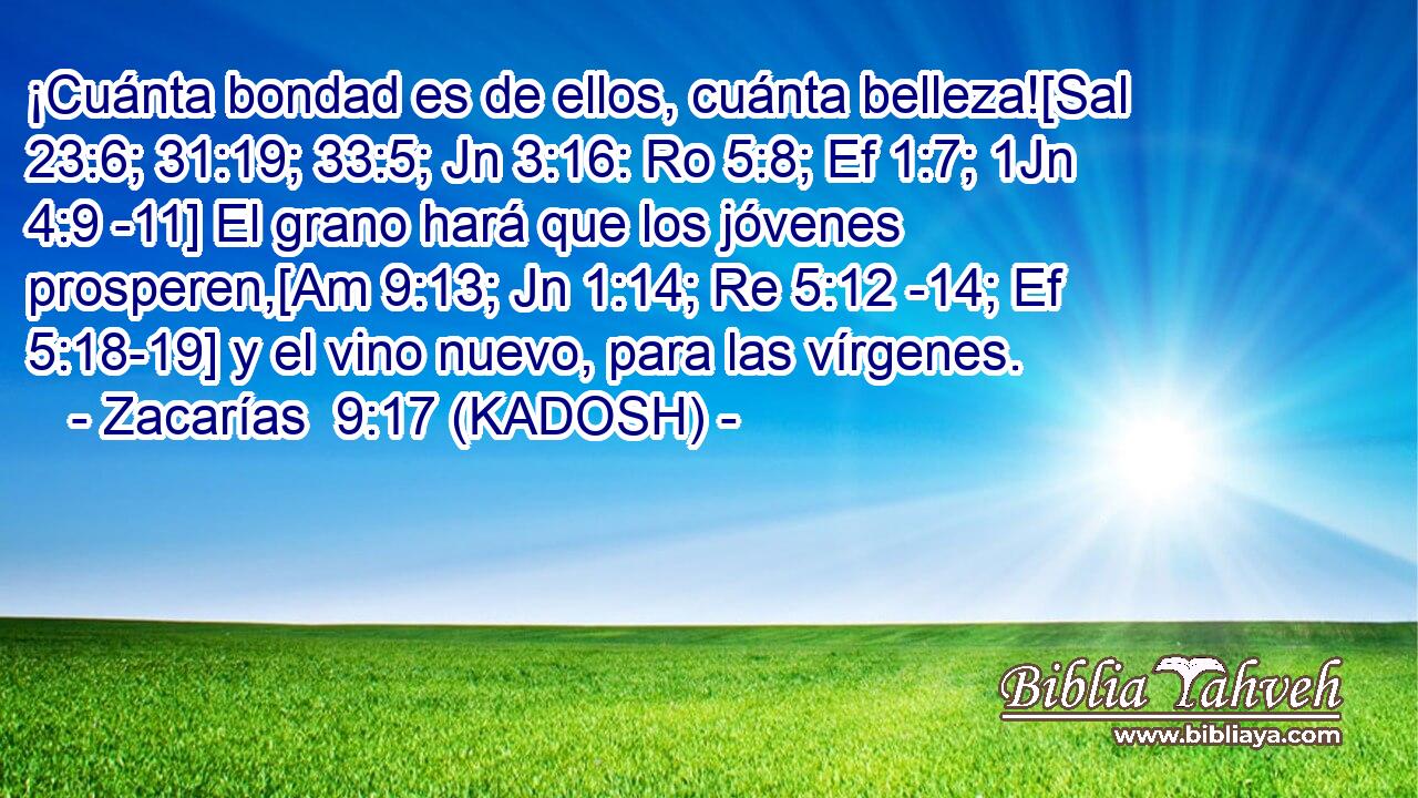  ¡Cuánta bondad es de ellos, cuánta belleza![Sal 23:6; 31:19; 33:5; Jn 3:16: Ro 5:8; Ef 1:7; 1Jn 4:9 -11] El grano hará que los jóvenes prosperen,[Am 9:13; Jn 1:14; Re 5:12 -14; Ef 5:18-19] y el vino nuevo, para las vírgenes. 